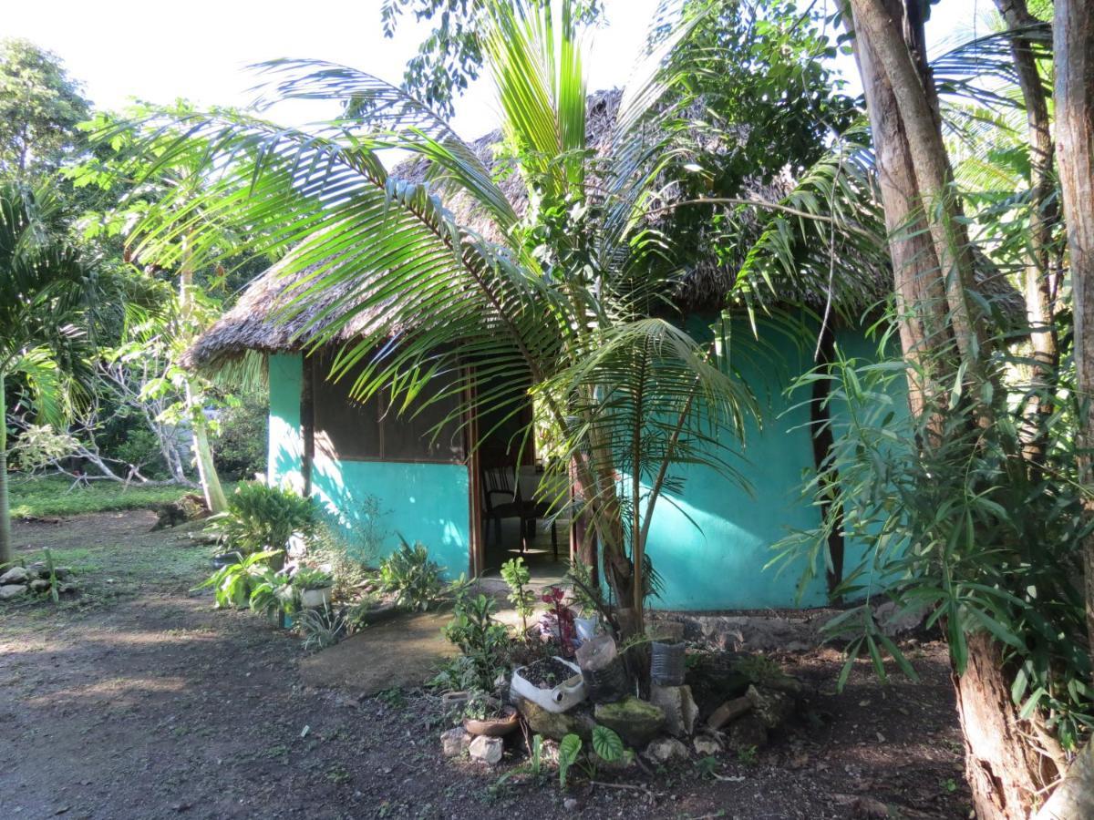 Cabanas Calakmul Villa Conhuas ภายนอก รูปภาพ