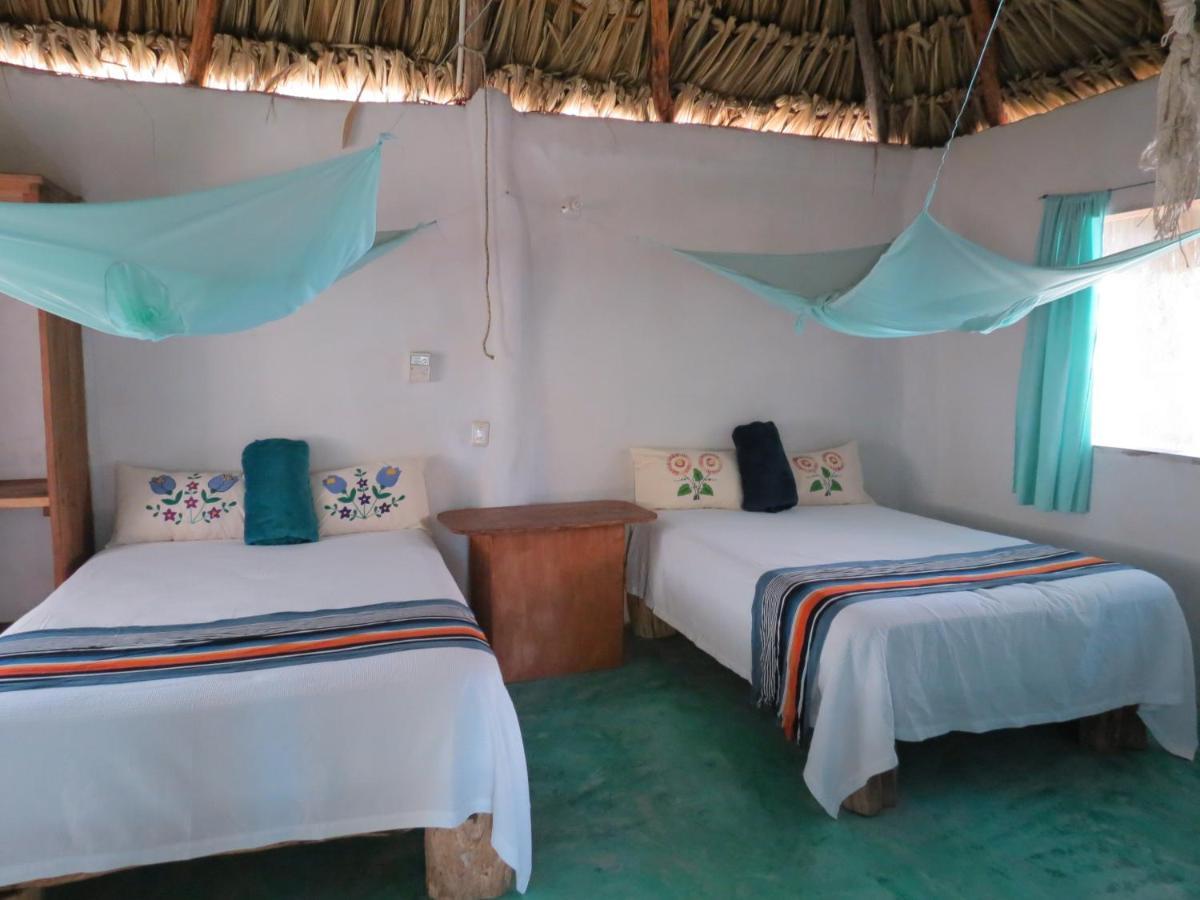 Cabanas Calakmul Villa Conhuas ภายนอก รูปภาพ