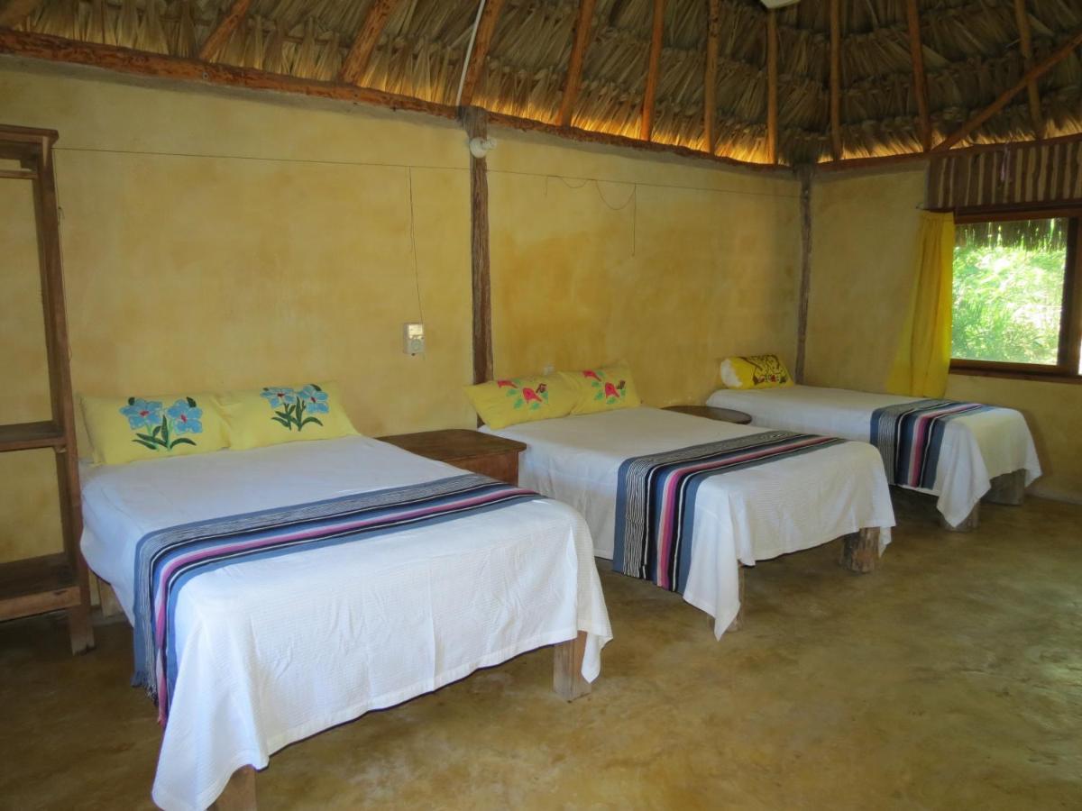 Cabanas Calakmul Villa Conhuas ภายนอก รูปภาพ