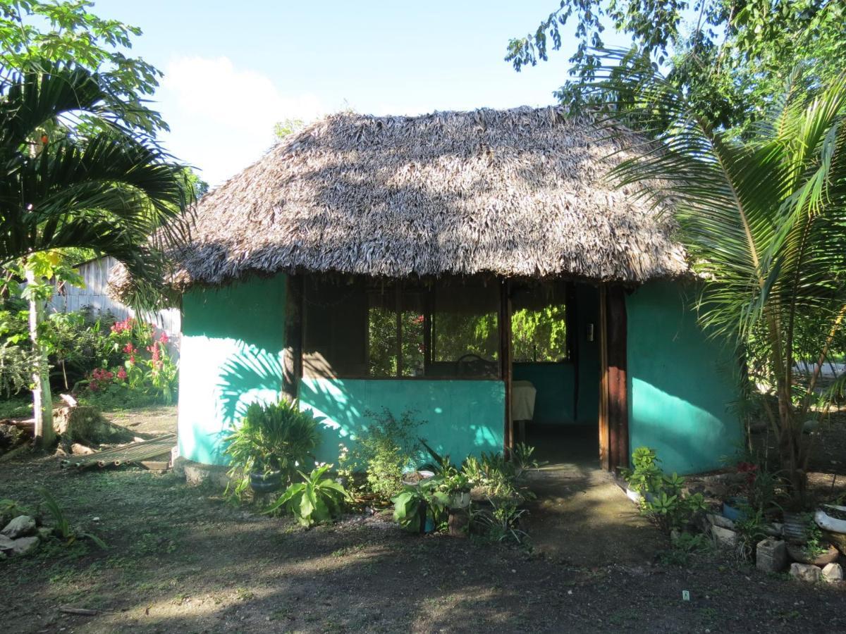 Cabanas Calakmul Villa Conhuas ภายนอก รูปภาพ