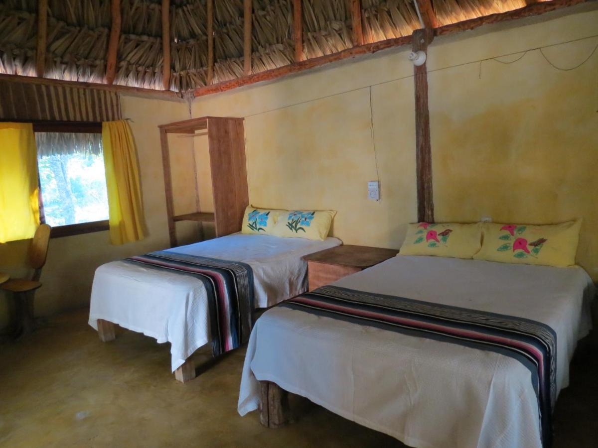 Cabanas Calakmul Villa Conhuas ภายนอก รูปภาพ