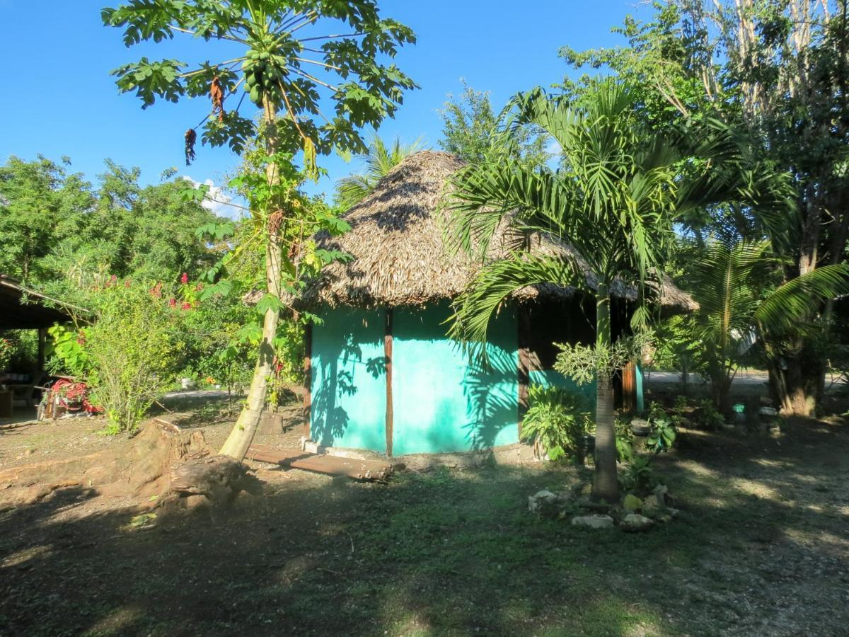 Cabanas Calakmul Villa Conhuas ภายนอก รูปภาพ