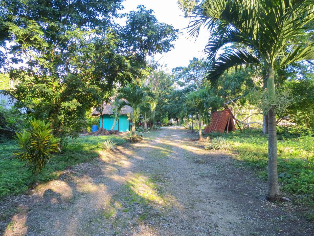 Cabanas Calakmul Villa Conhuas ภายนอก รูปภาพ