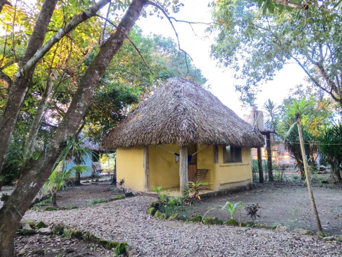 Cabanas Calakmul Villa Conhuas ภายนอก รูปภาพ