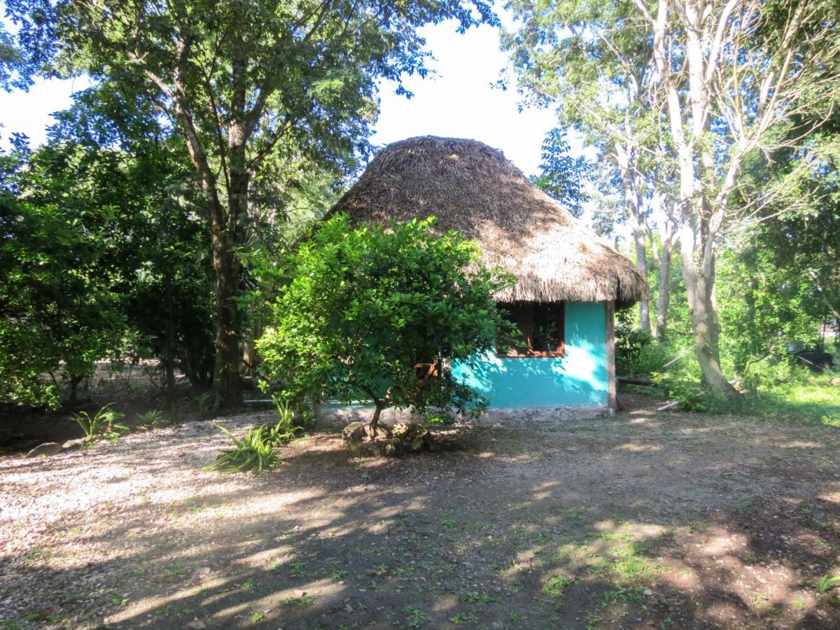 Cabanas Calakmul Villa Conhuas ภายนอก รูปภาพ