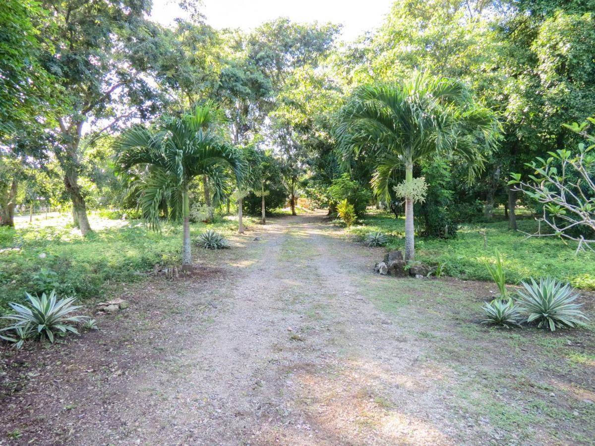 Cabanas Calakmul Villa Conhuas ภายนอก รูปภาพ