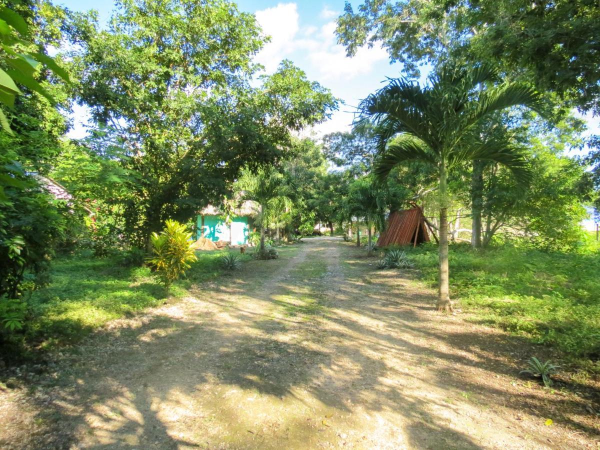 Cabanas Calakmul Villa Conhuas ภายนอก รูปภาพ