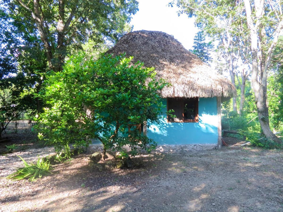 Cabanas Calakmul Villa Conhuas ภายนอก รูปภาพ