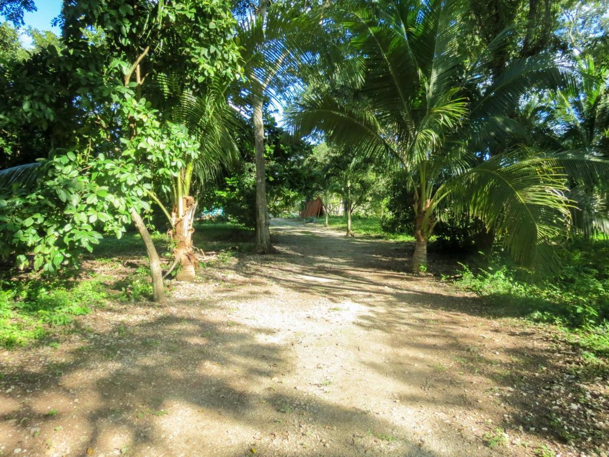 Cabanas Calakmul Villa Conhuas ภายนอก รูปภาพ